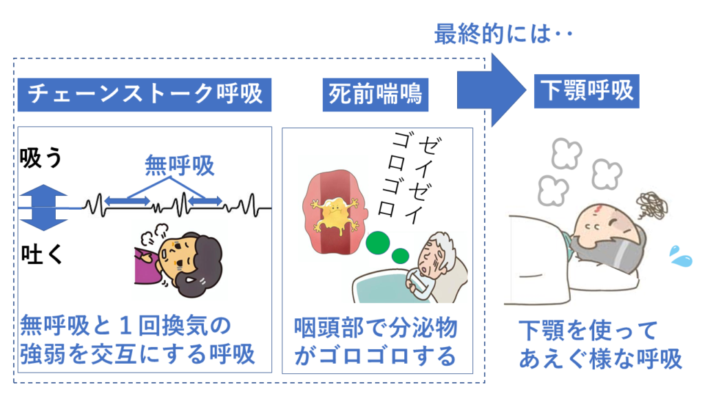 【簡単に解説】亡くなる前の前兆は?死期が近い高齢者の特徴と家族ケア | 医療と福祉専門UDラボ|作業療法士が創る「安心」のWebと観光支援