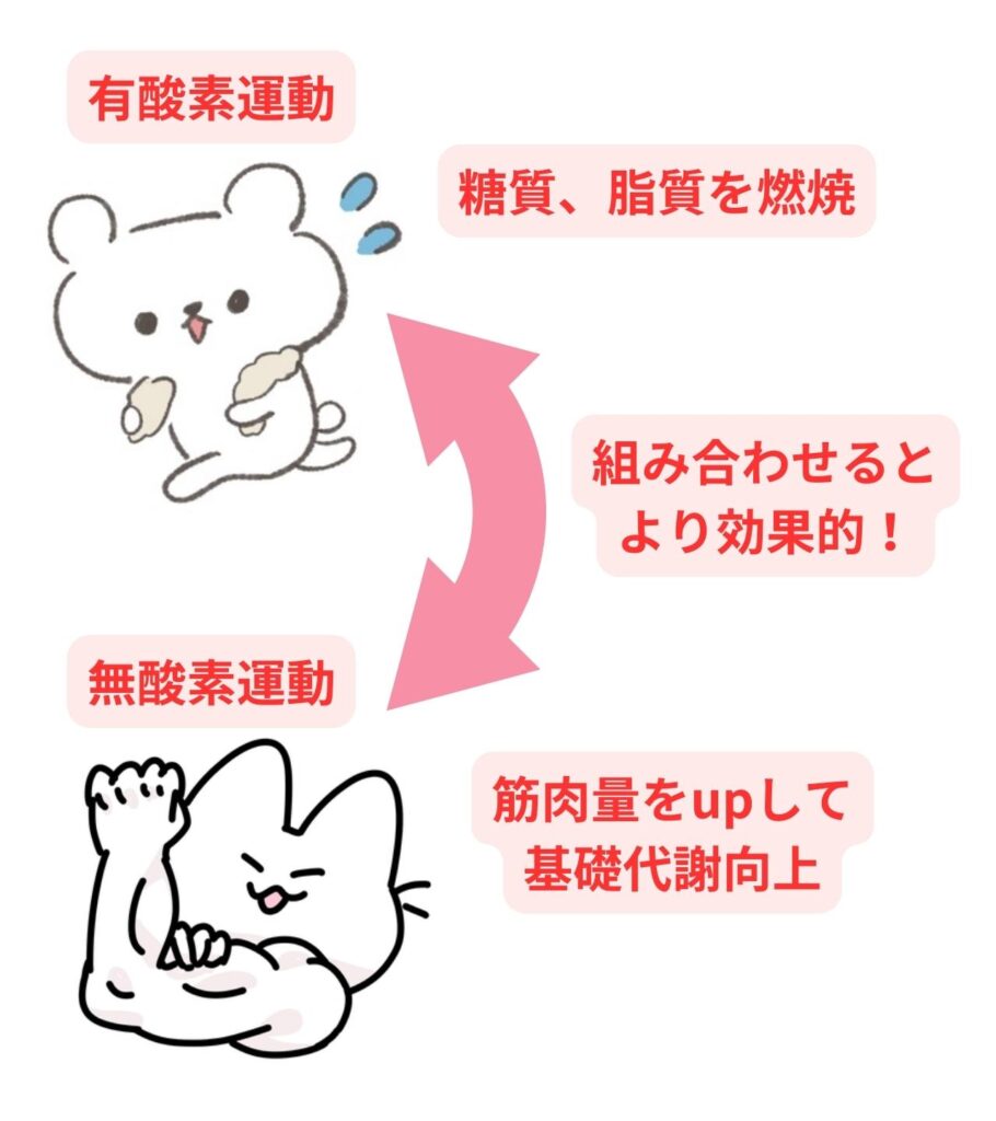糖尿病予防　運動の組み合わせが重要